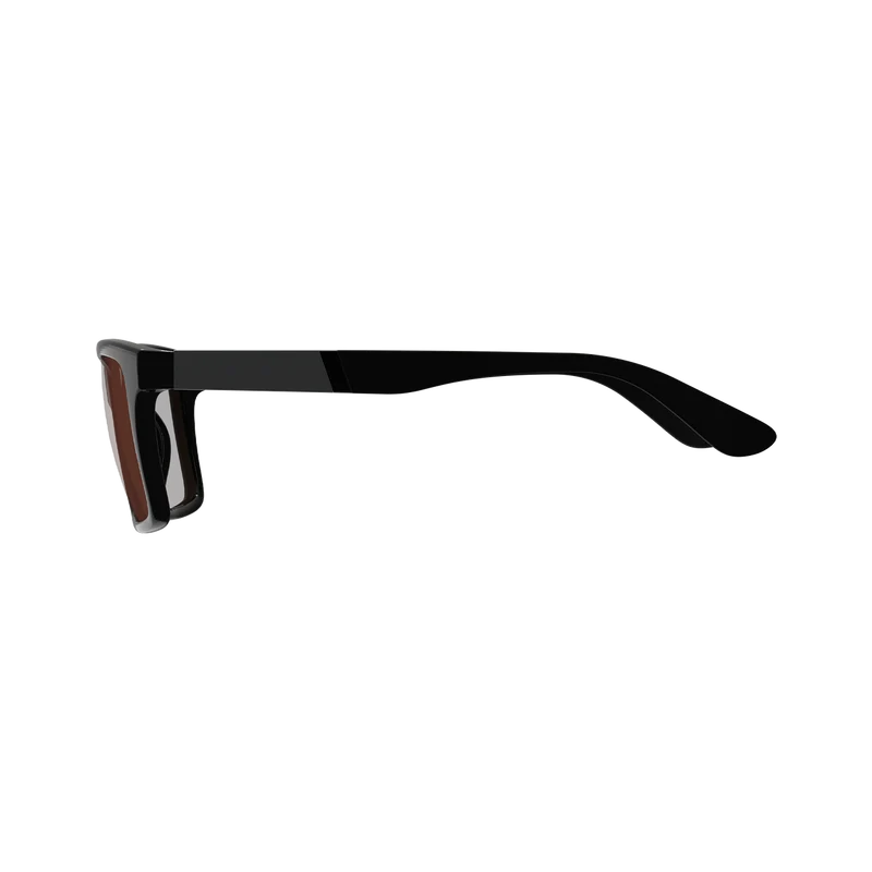 Lunettes LEATT THEVIZ SIERRA Noir/Argent Verre Polarisé Marron/Argent