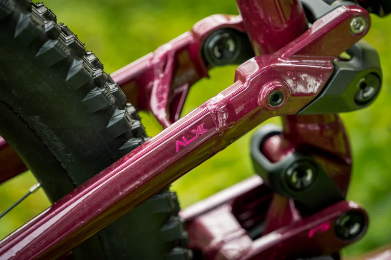 Polygon Collosus N9 - Enduro Mountain Bike