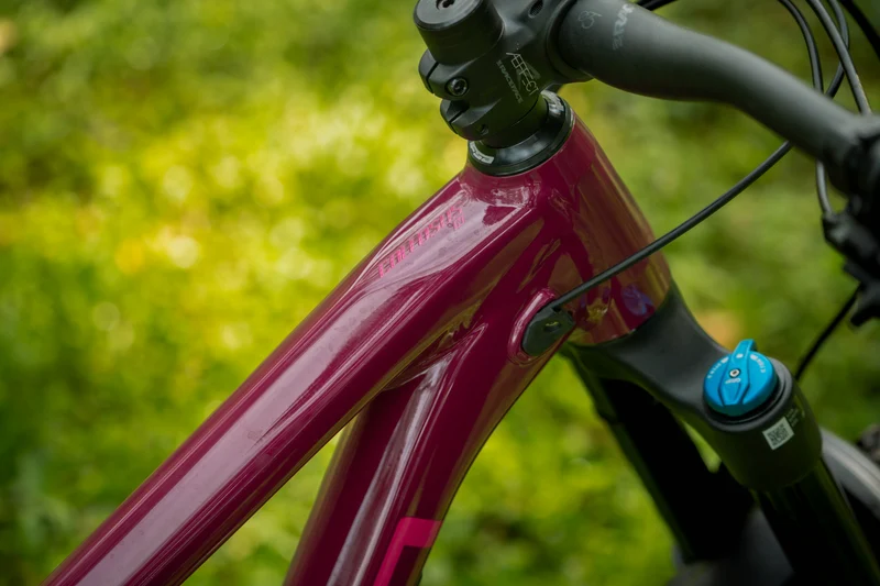 Polygon Collosus N9 - Enduro Mountain Bike