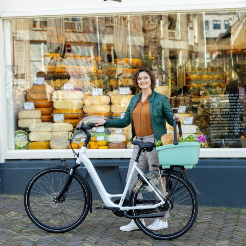 Panier arrière Clipper 28L New Looxs
