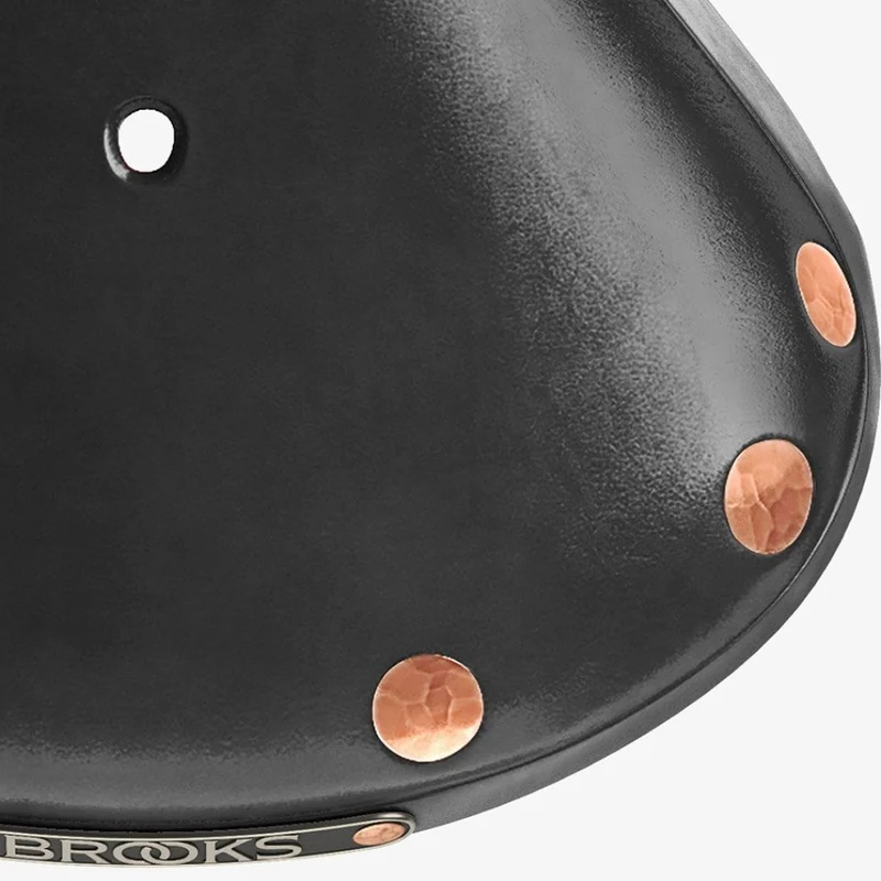 Selle vélo cuir Brooks B17 special titanium