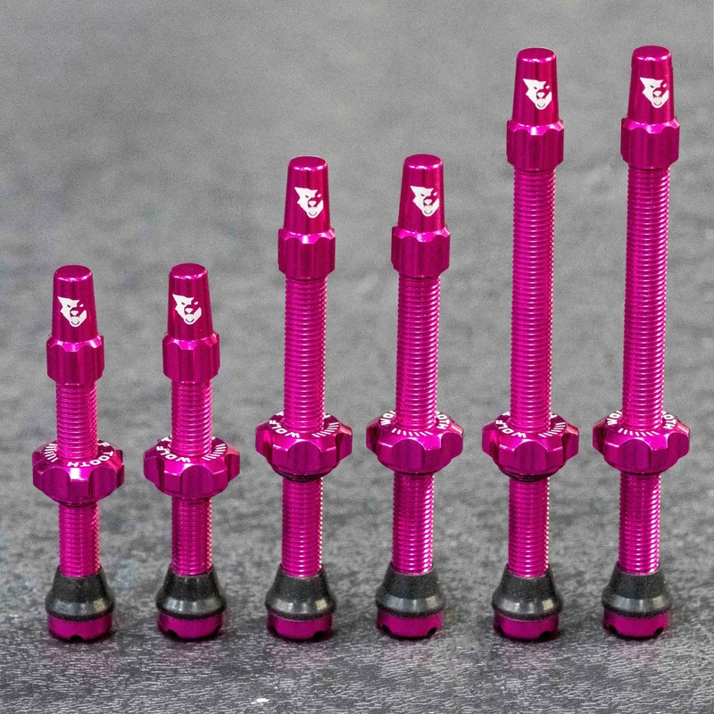 Lot de 2 Valves Tubeless WOLF TOOTH Rose