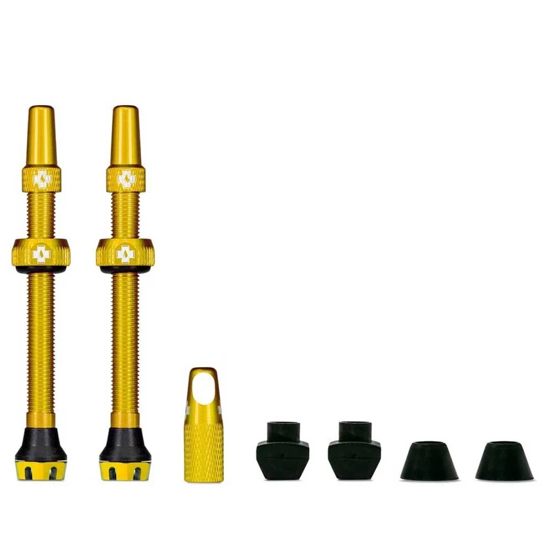 Tubeless Valve Kit V2