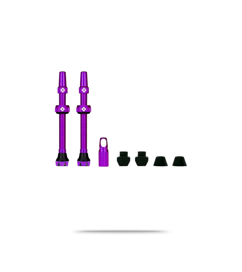 Tubeless Valve Kit V2