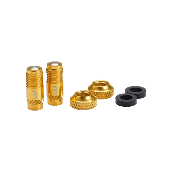 Embouts de Valves BBB CORE CAP Or (x2)