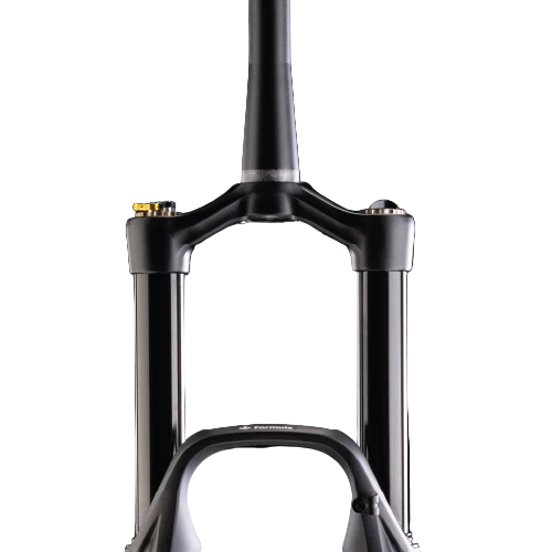 Fourche FORMULA SELVA S 29" Axe 15x110mm Boost Noir