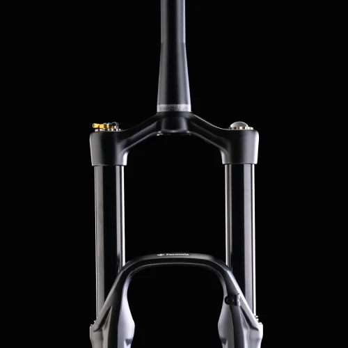 Fourche FORMULA SELVA R 29" Axe 15x110mm Boost Noir
