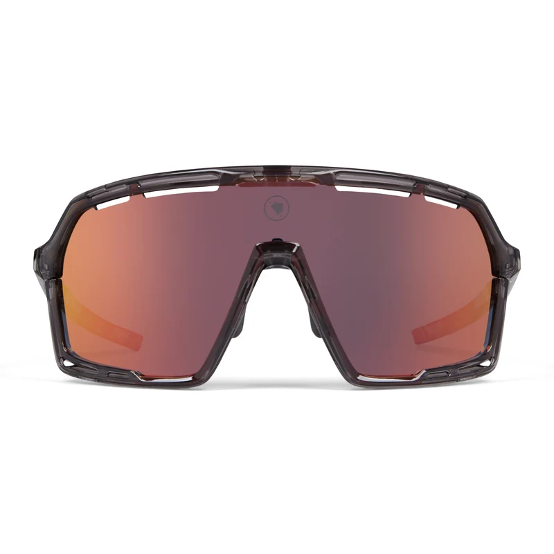 Lunettes ENDURA PRO SL Gris