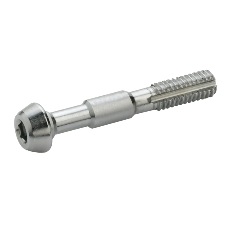 Lot de 2 Vis Acier Inoxydable ELVEDES pour Banjo Shimano